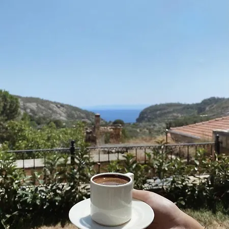 Arikli Kazdaglari * Yesilyurt (Canakkale)