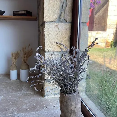 Alojamento de Acomodação e Pequeno-almoço Arikli Kazdaglari Yesilyurt (Canakkale)