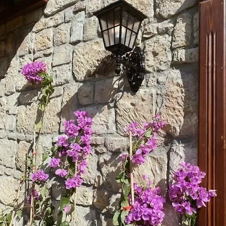 Arikli Kazdaglari Alojamento de Acomodação e Pequeno-almoço *