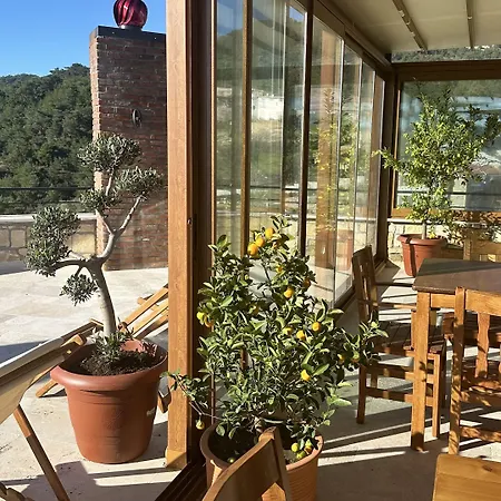 Alojamento de Acomodação e Pequeno-almoço Arikli Kazdaglari