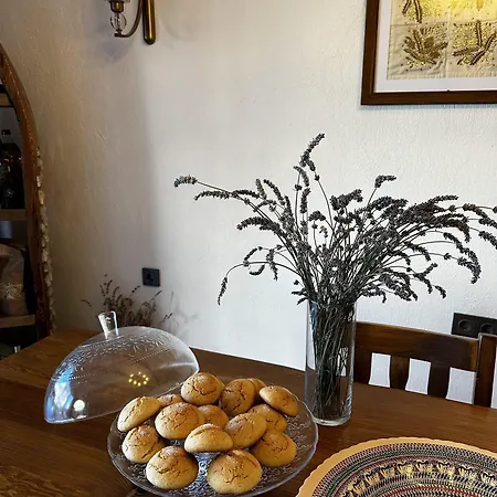 Arikli Kazdaglari Alojamento de Acomodação e Pequeno-almoço