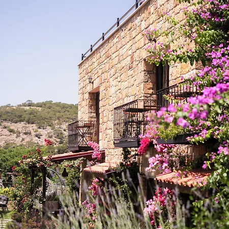 Arikli Kazdaglari Alojamento de Acomodação e Pequeno-almoço *