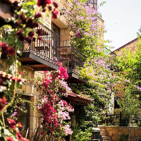 Arikli Kazdaglari * Yesilyurt (Canakkale)