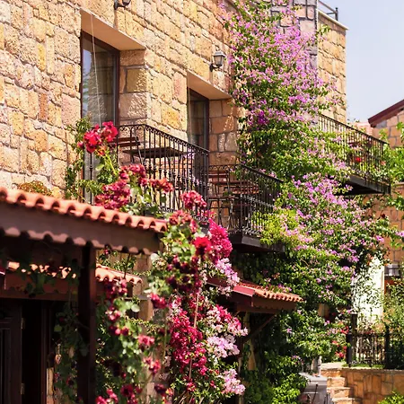 Arikli Kazdaglari Yesilyurt (Canakkale)