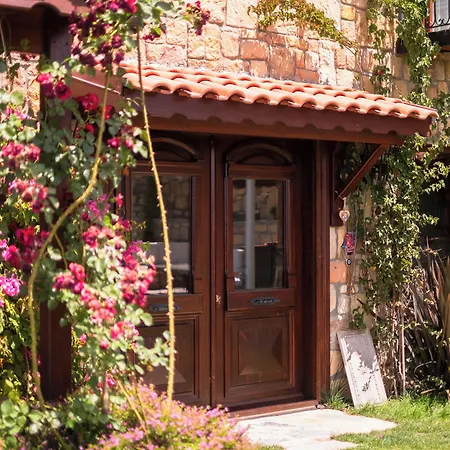 Arikli Kazdaglari Yesilyurt (Canakkale)