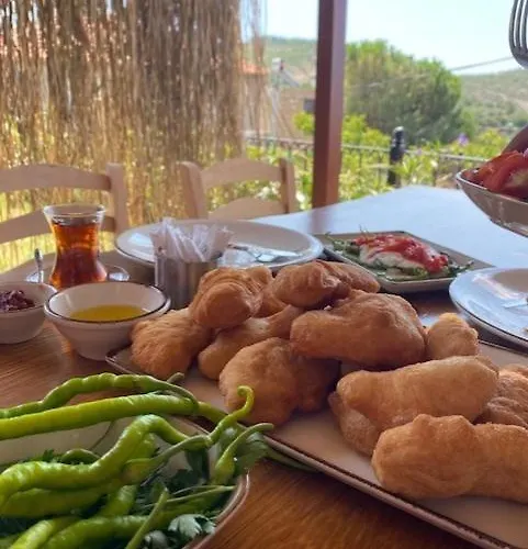 Arikli Kazdaglari B&B *