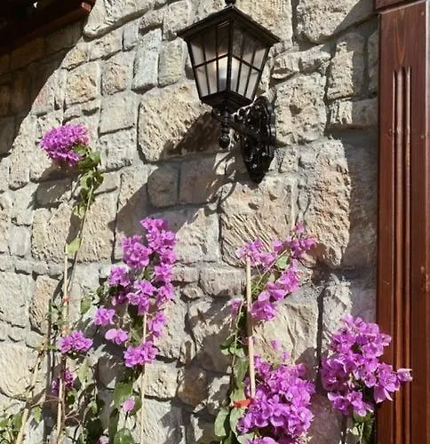 Arikli Kazdaglari B&B *