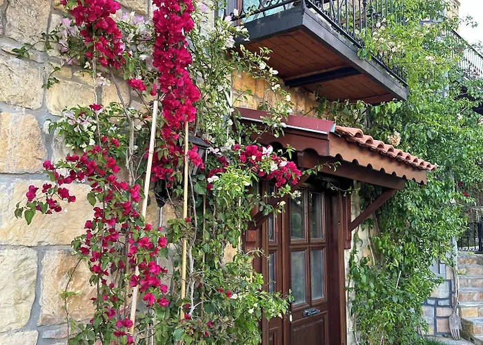 Arikli Kazdaglari B&B Yesilyurt (Canakkale)