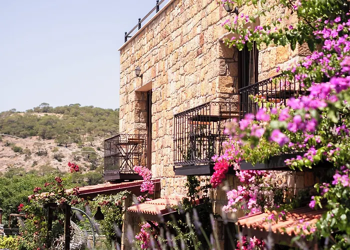 Arikli Kazdaglari B&B *