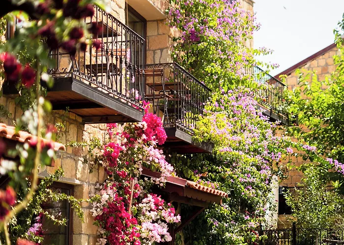 Arikli Kazdaglari * Yesilyurt (Canakkale)