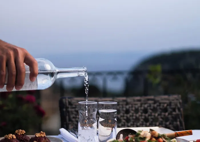 Arikli Kazdaglari B&B Yesilyurt (Canakkale)