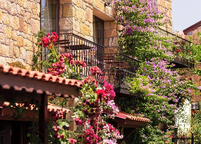 Arikli Kazdaglari Yesilyurt (Canakkale)