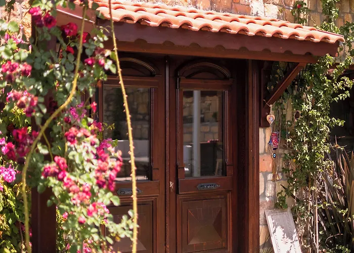 Arikli Kazdaglari Yesilyurt (Canakkale)